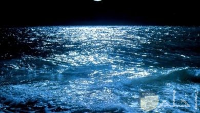 البحر بالليل مع القمر.