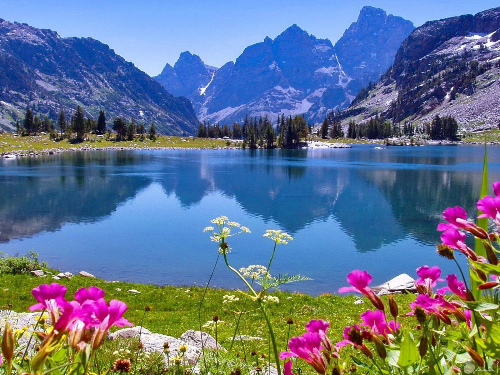 منظر طبيعي جميل للجبال و النهر و الزهور