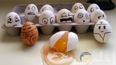 فنان يصنع من البيض في منزله صورة غريبة مضحكة جداً.