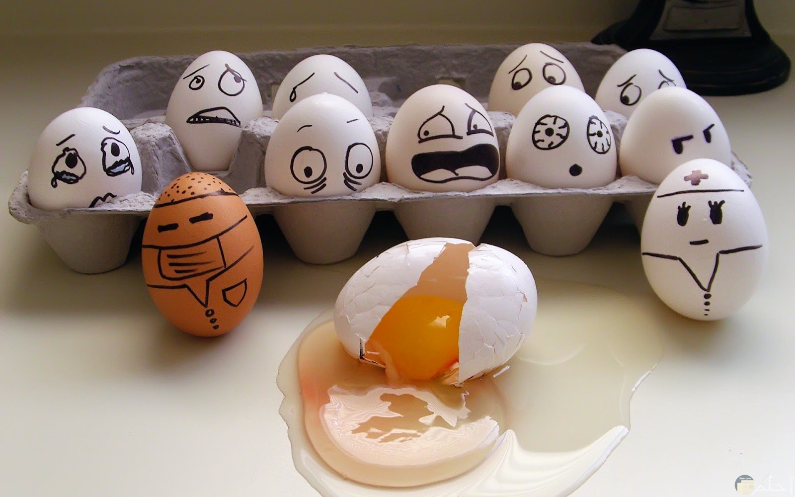 فنان يصنع من البيض في منزله صورة غريبة مضحكة جداً.