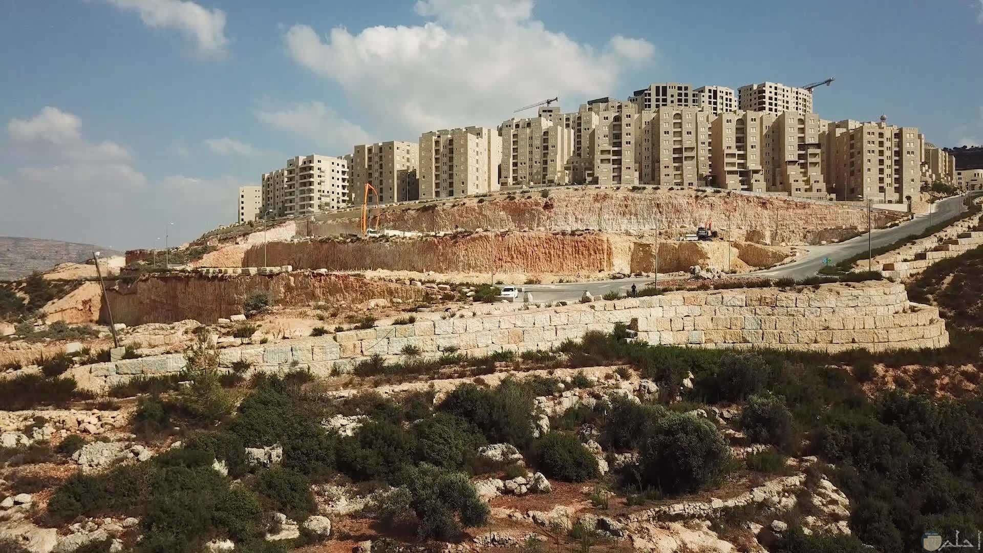 مدينة روابي الفليسطينية.