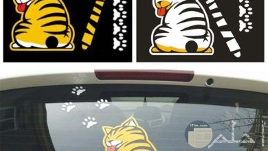 إستيكر لمساحة الزجاج بالسيارة على شكل قطة و لها ذيل يلصق على المساحة نفسها.