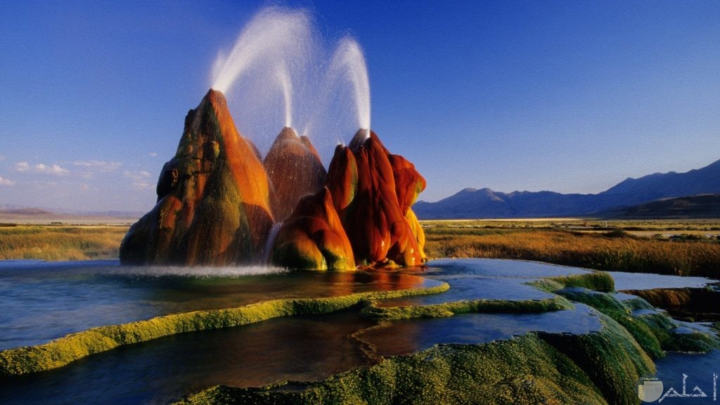 10 10
