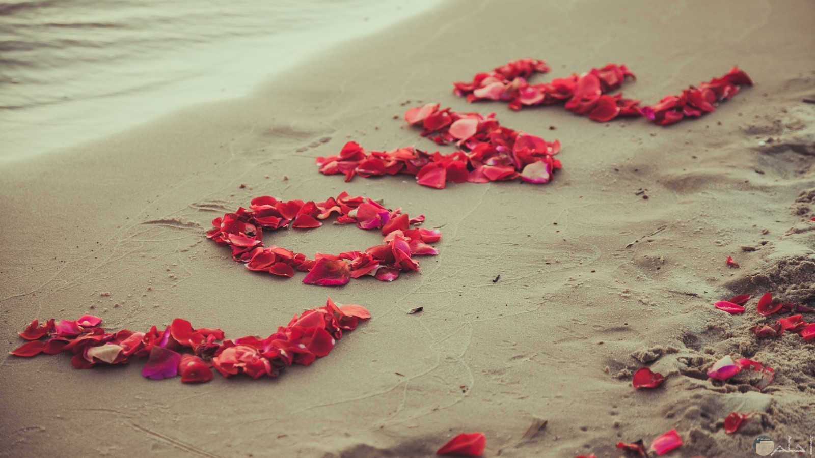 كتابة Love على رمال الشاطئ في البحر.