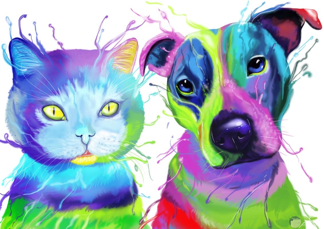 رسمة ملونة لكلب و قطة.