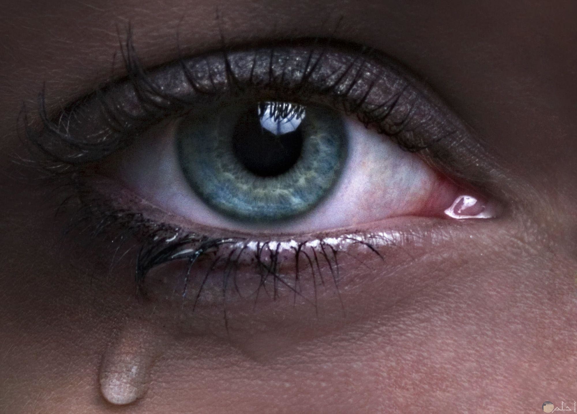 عين تبكي -ملونة و معبرة عن الحزن و الالم.