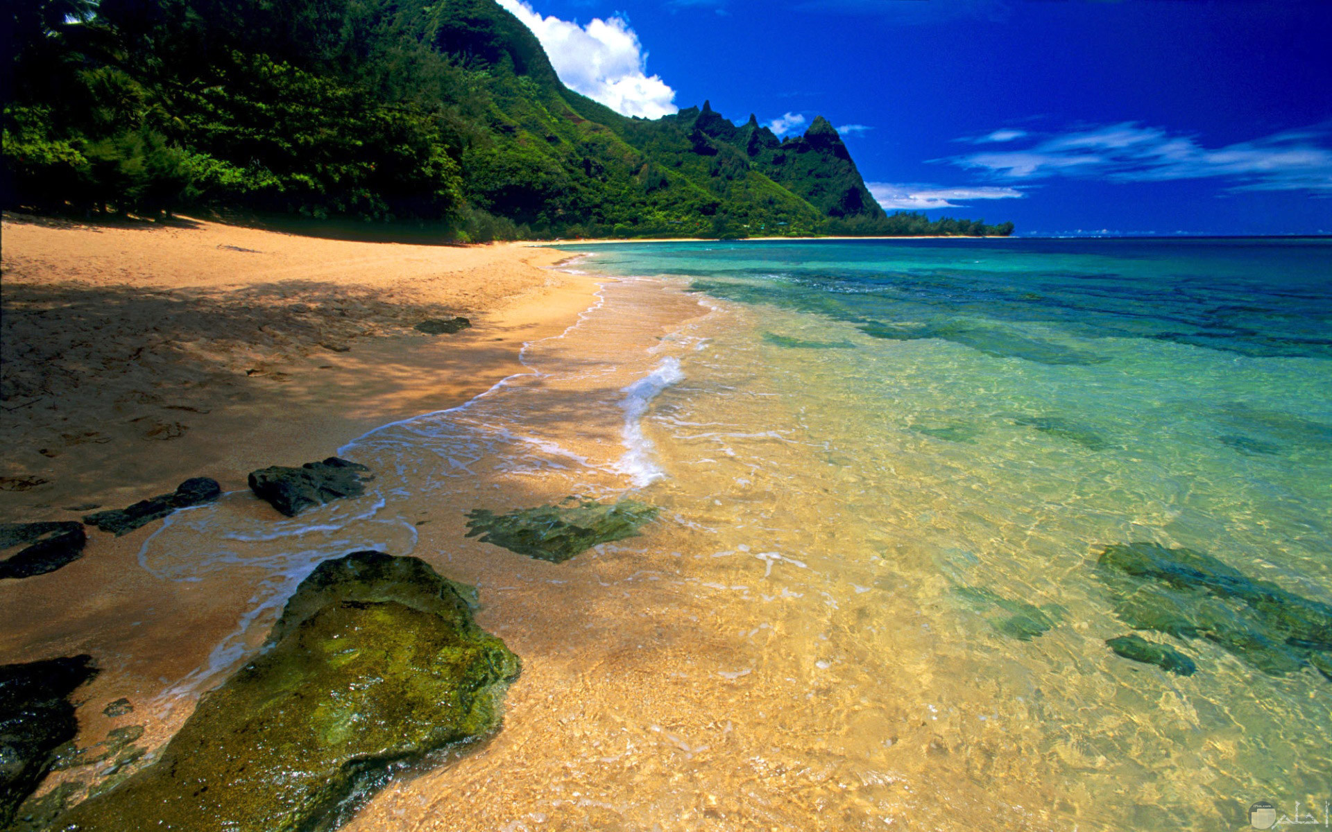 أجمل لقطة للبحر و الرمال و الصخور البحرية.