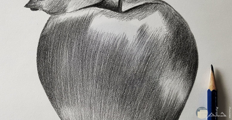رسمة تفاحة مرسومة بالرصاص.
