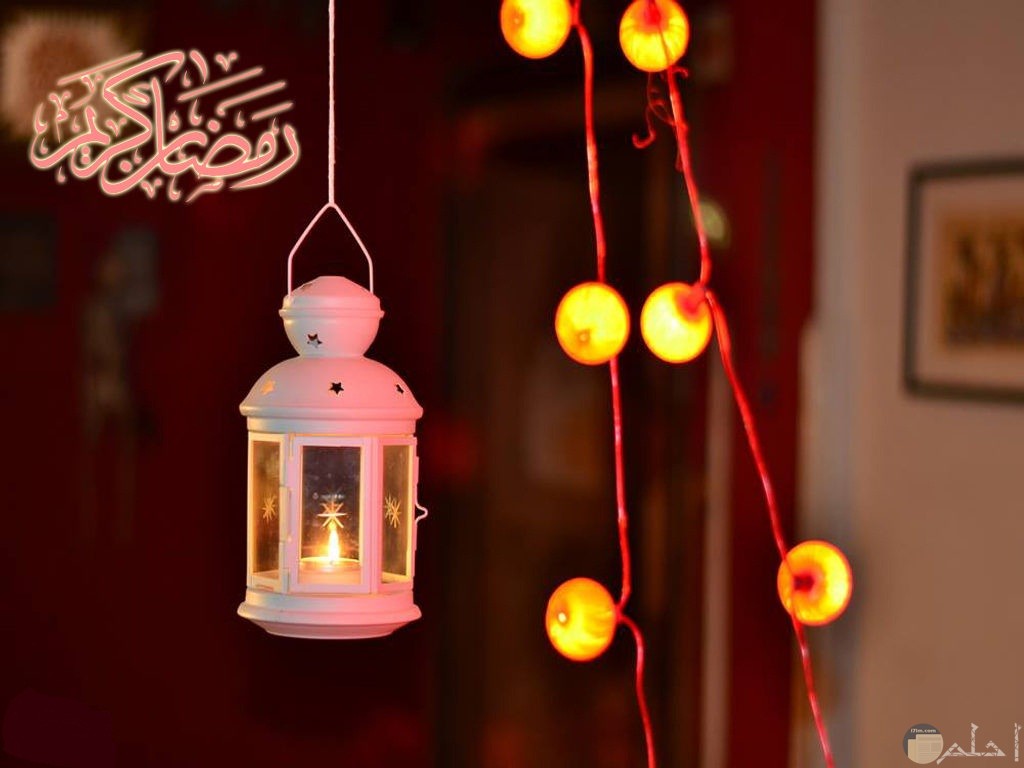 فوانيس رمضان وحلو الزينات.