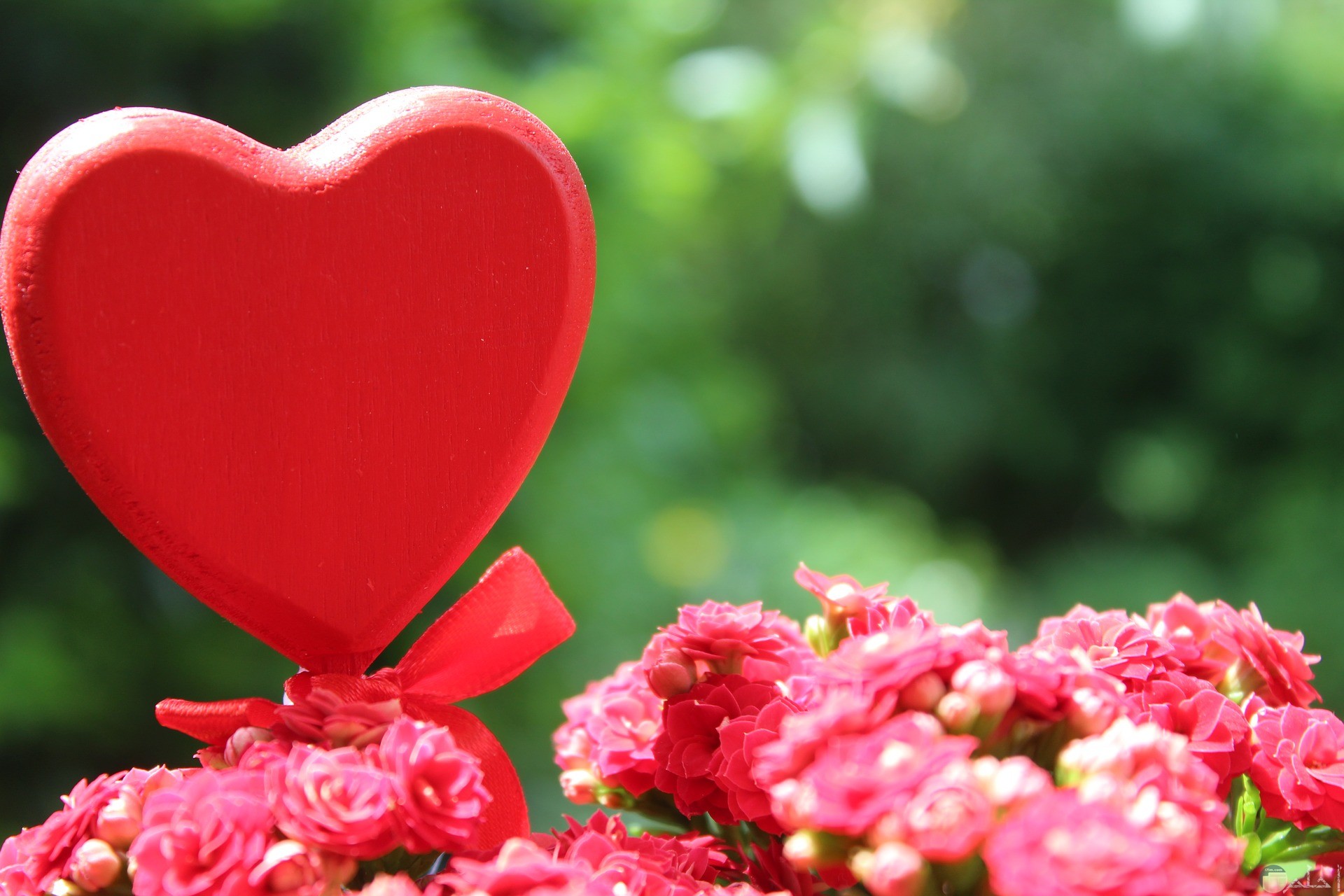 القلب منبع الحب و الرومانسية.