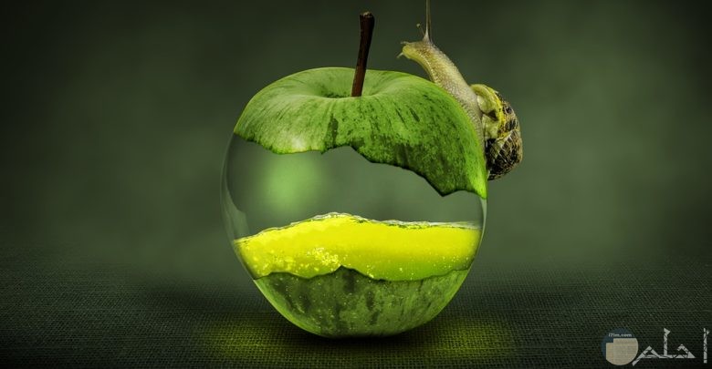 صورة فوتوشوب لتفاحة