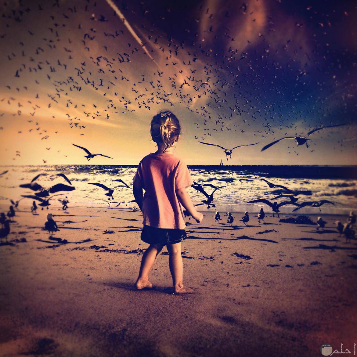 بنت صغيرة واقفه على شاطئ بحر حول مجموعه من الطيور