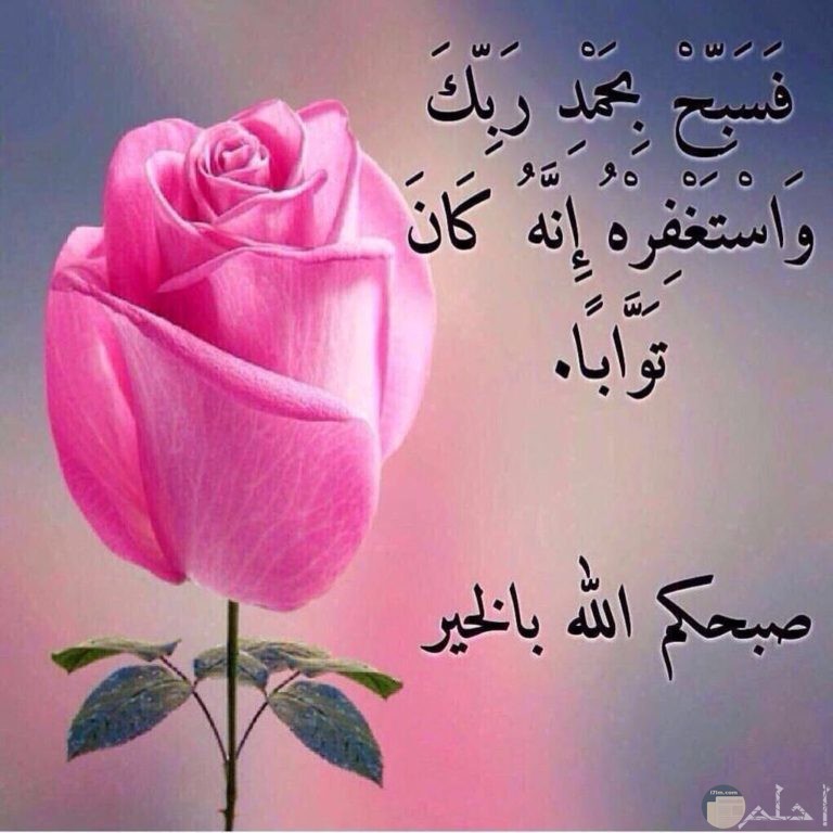 صور جميلة صباحية أرق رسائل الصباح للغاليين