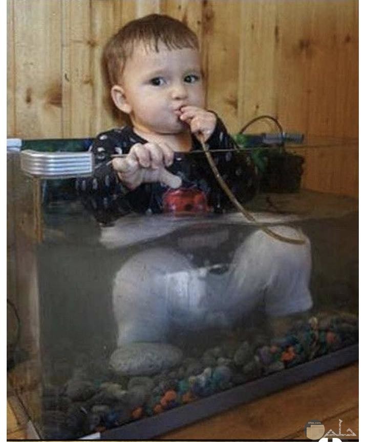 طفل يجلس داخل حوض أسماك زجاجي.