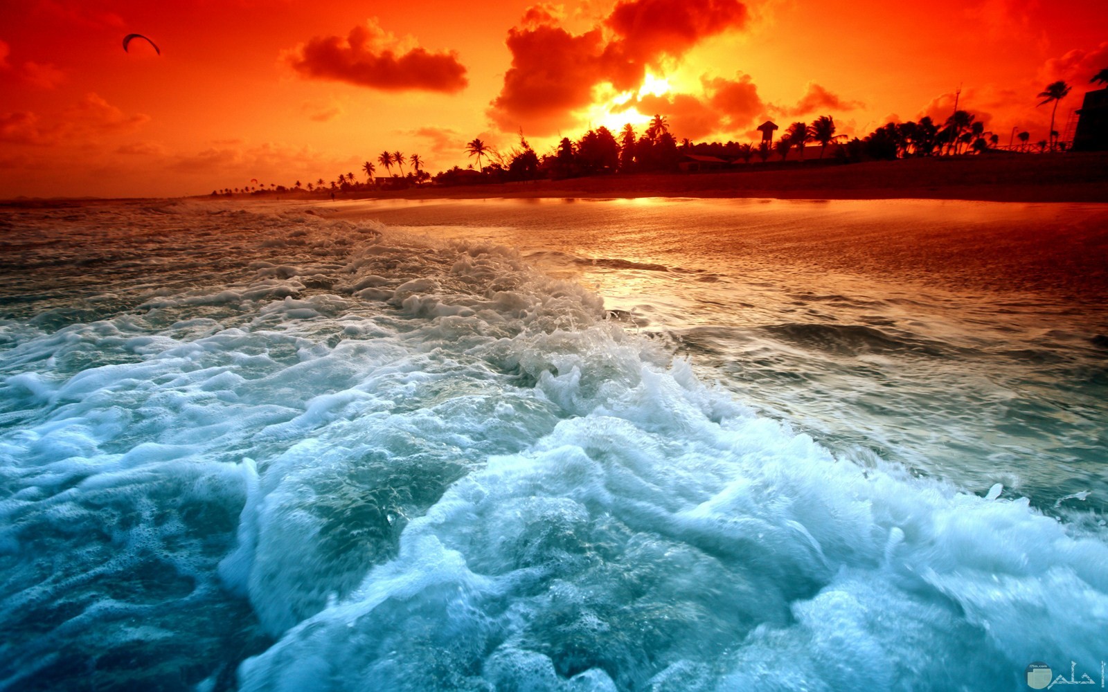 البحر و الشمس معاً.