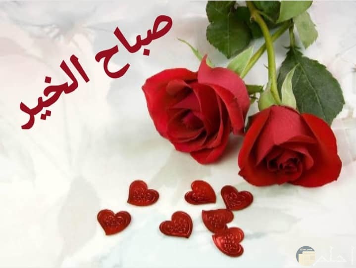 صباح الخير مع زهور حمراء