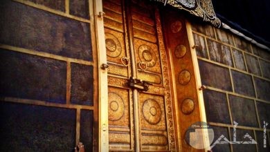 أمل رمضان Author At صور أحلم الصفحة 5 من 24