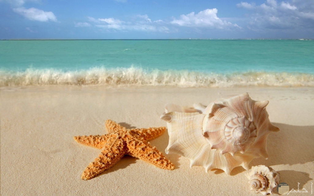 10 صور جميلة للبحر تساعد علي الهدوء والاسترخاء