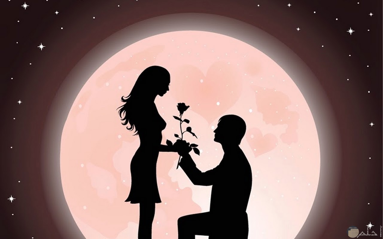 حبيب يقدم وردة لحبيبته تعبيراً عن حبه لها.