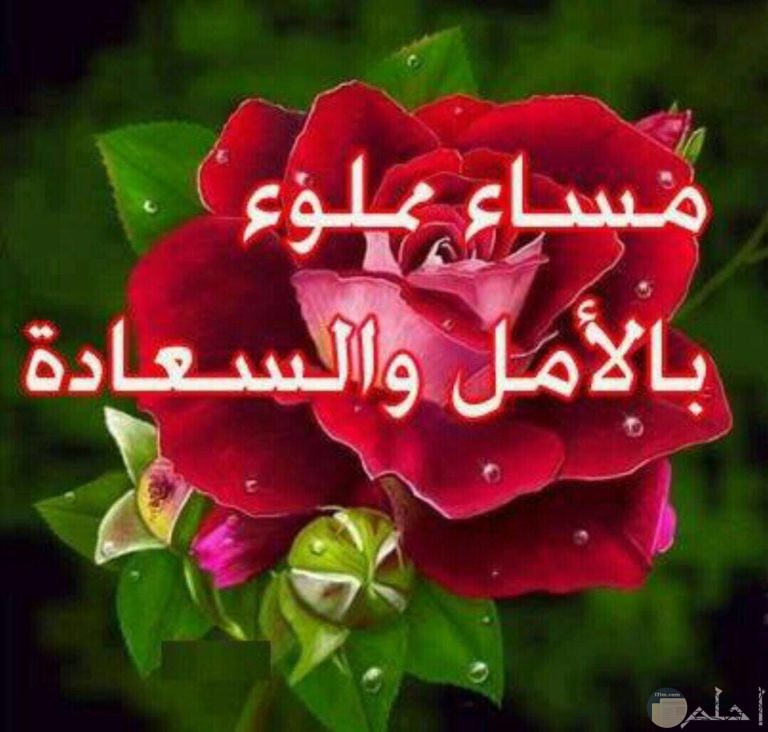 اجمل الصور للترحيب خلفيات ثابتة ومتحركة روعة