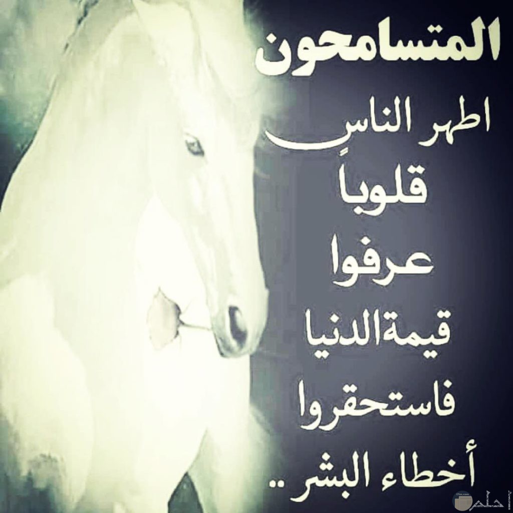 شعر عن التسامح