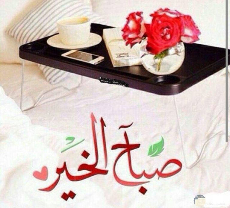 اجمل الصور للترحيب خلفيات ثابتة ومتحركة روعة