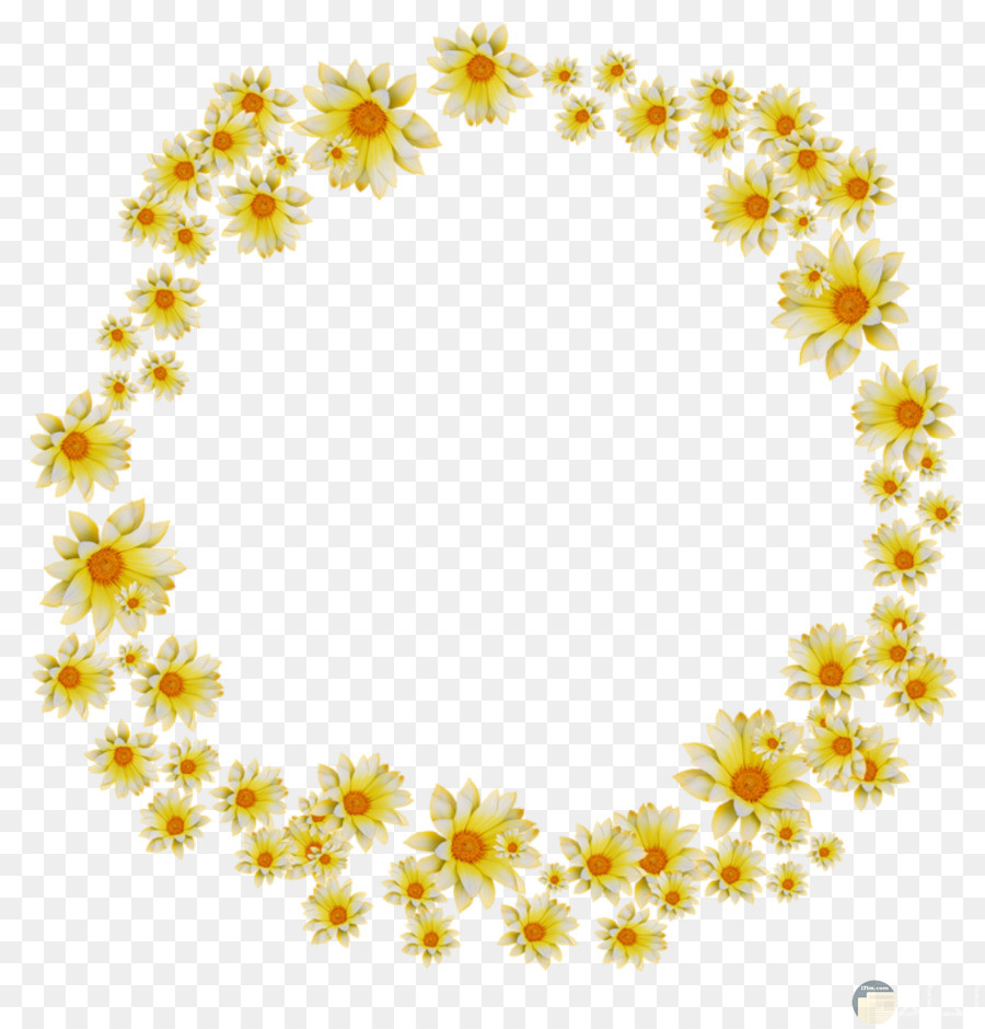 دائرة من الزهور الصفراء بخلفية شفافة.