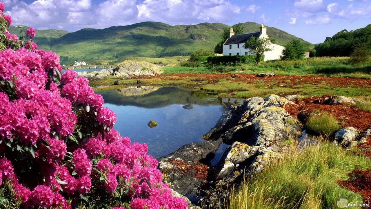 صورة جبلية لبيت وبحيرة وزهور 