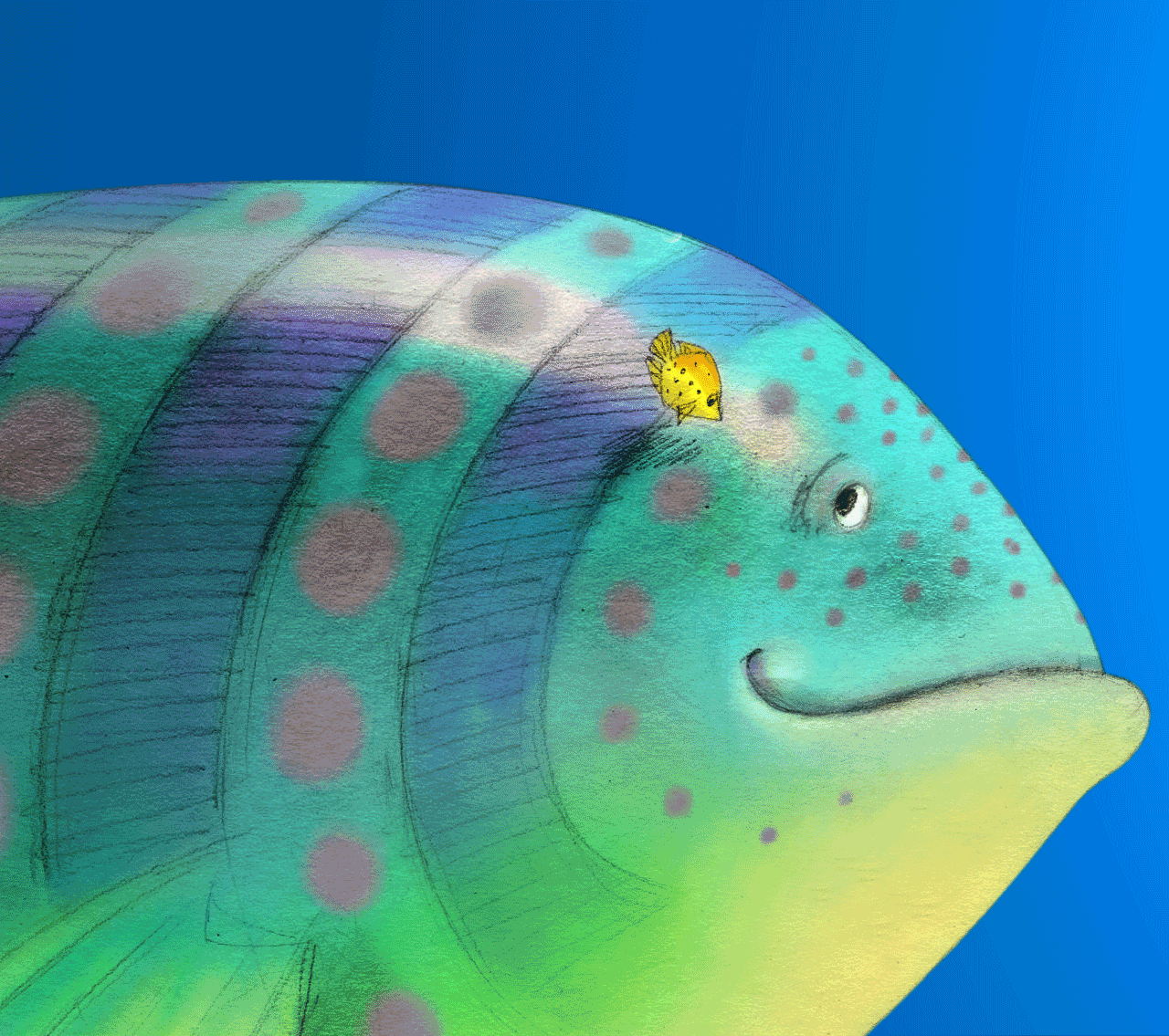 سمكة متحركة العين.