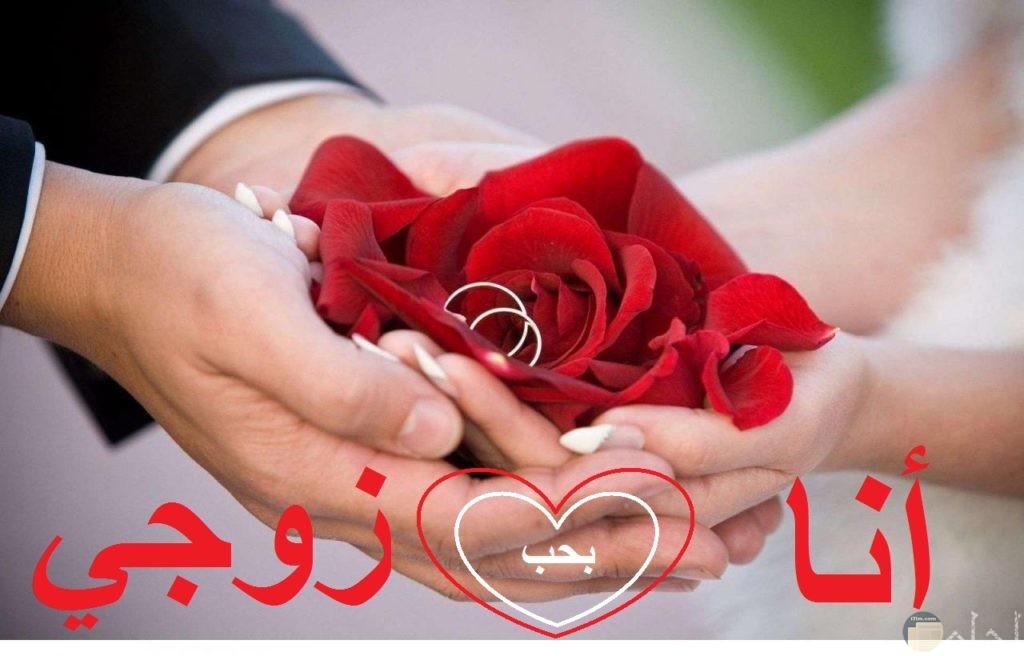 اجمل الصور عن الزوج و أروع عبارات رومانسية للمتزوجين فقط