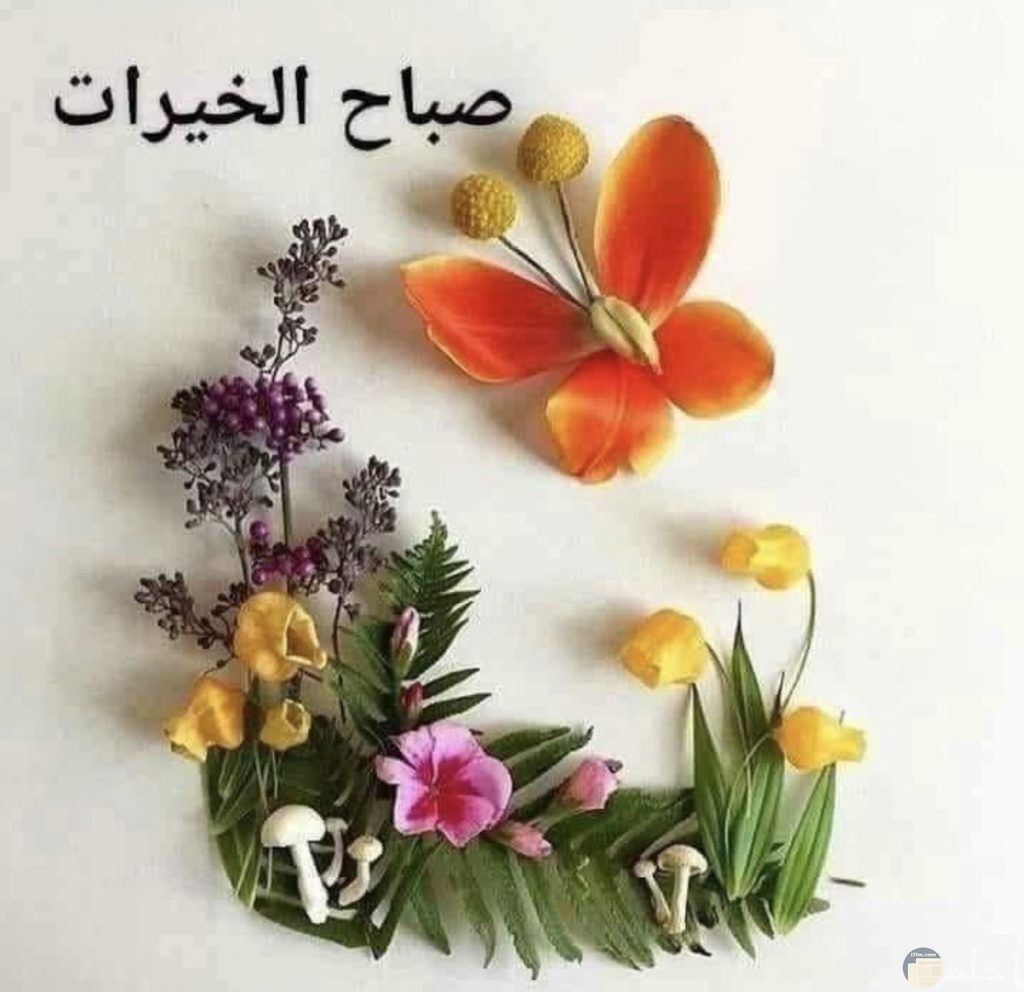 صباح الخير اجمل الصور المعبرة عن احلى صباح