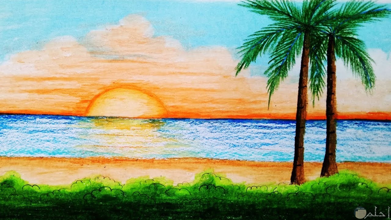 خلفيات مرسومة ملونة للنخل و البحر و غروب الشمس.