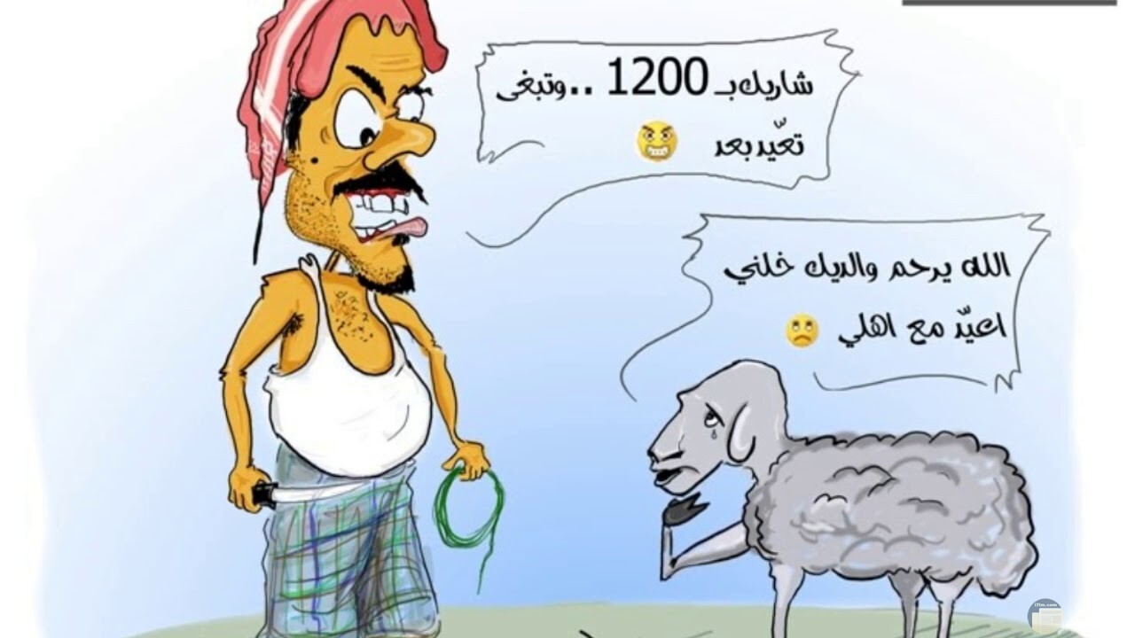 كاريكاتير عن أسعار خروف العيد.