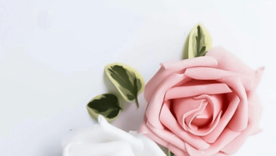 صورة للكتابة عليها فاتحه مع وردتين باللون الوردي والابيض