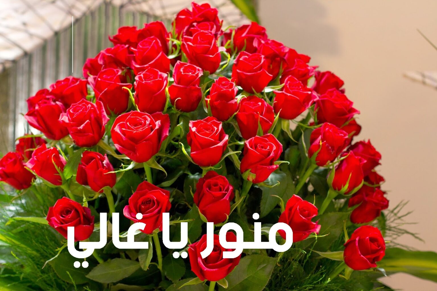 صور تعليقات مضحكة للفيس بوك بدقة مميزة HD