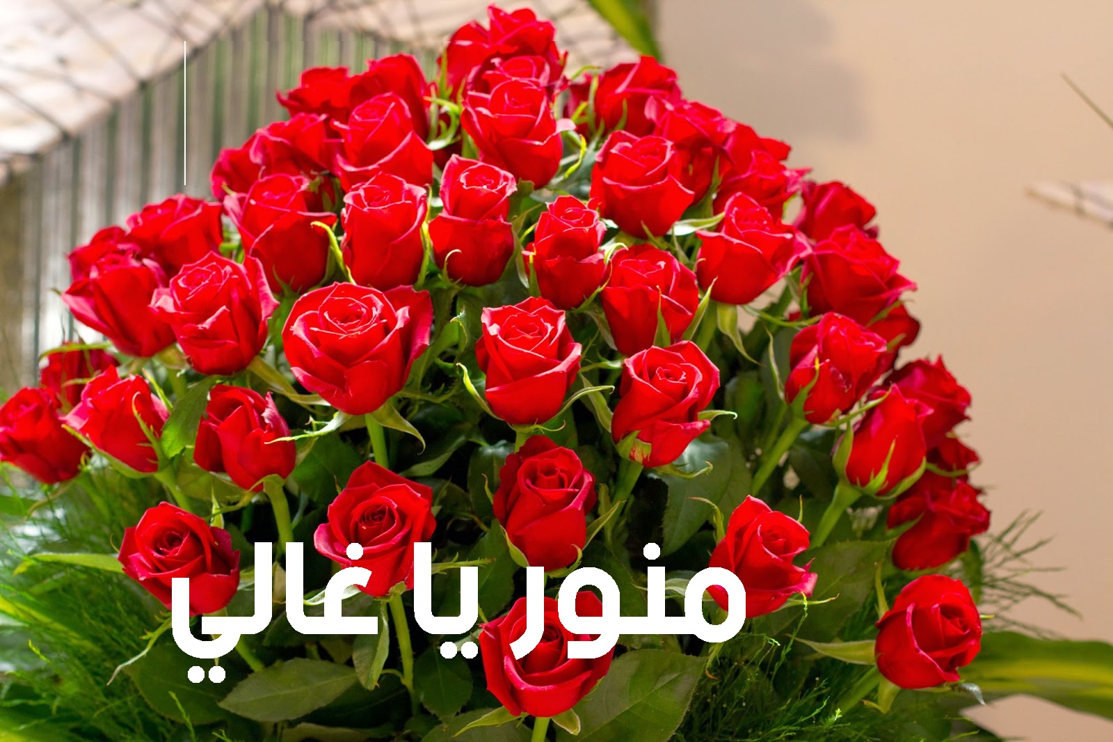صور تعليقات مضحكة للفيس بوك بدقة مميزة HD