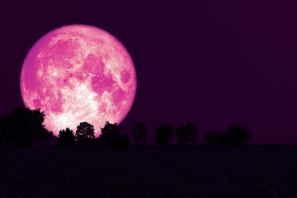صورة لقمر وردي اللون كبير مكتمل في السماء