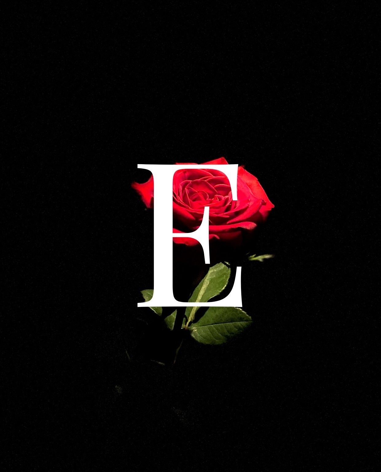 حرف e مع وردة حمراء