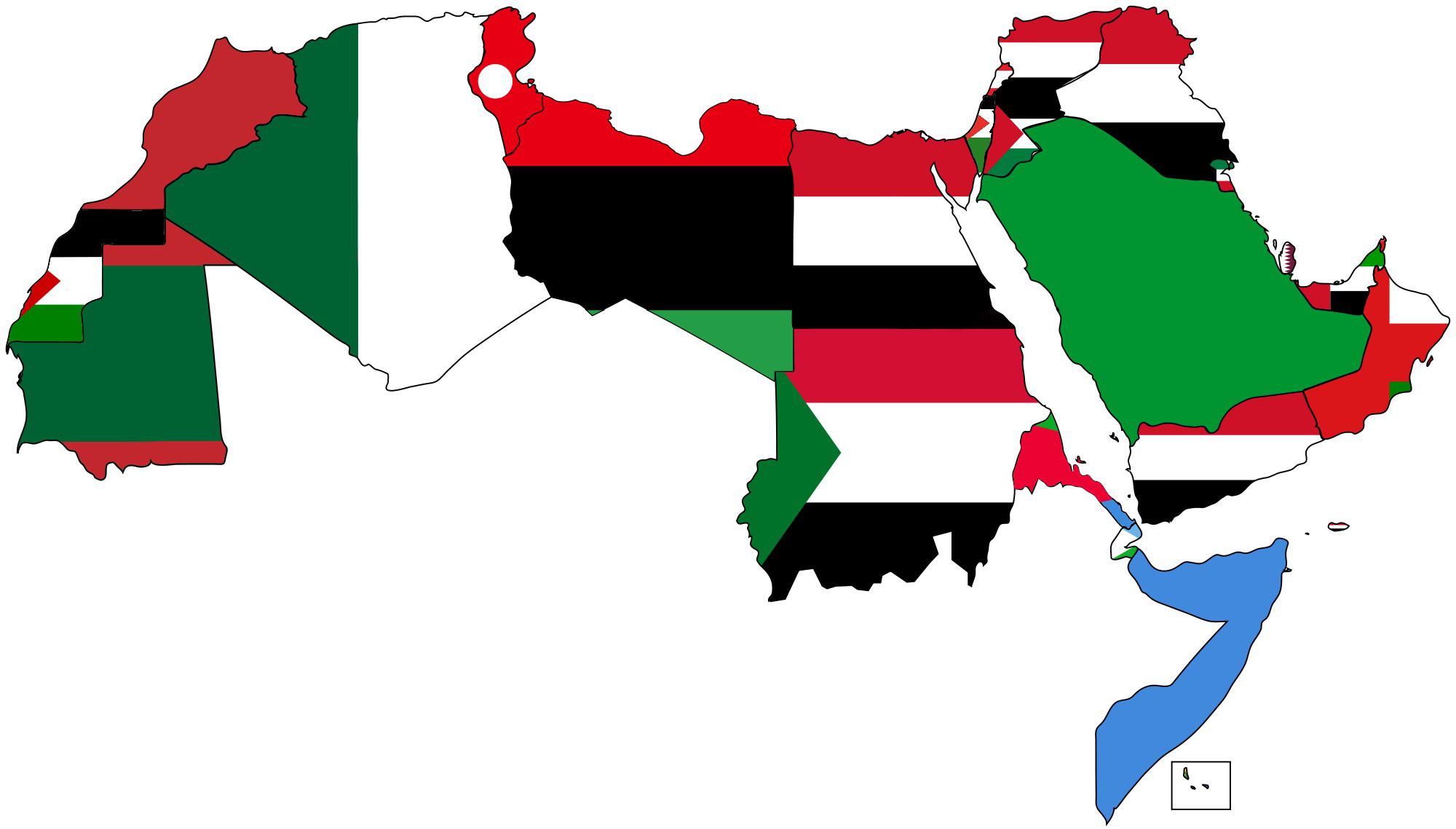 أعلام دول الوطن العربي علي القارة