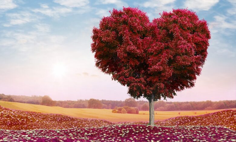 صورة حلوة شجرة علي شكل قلب