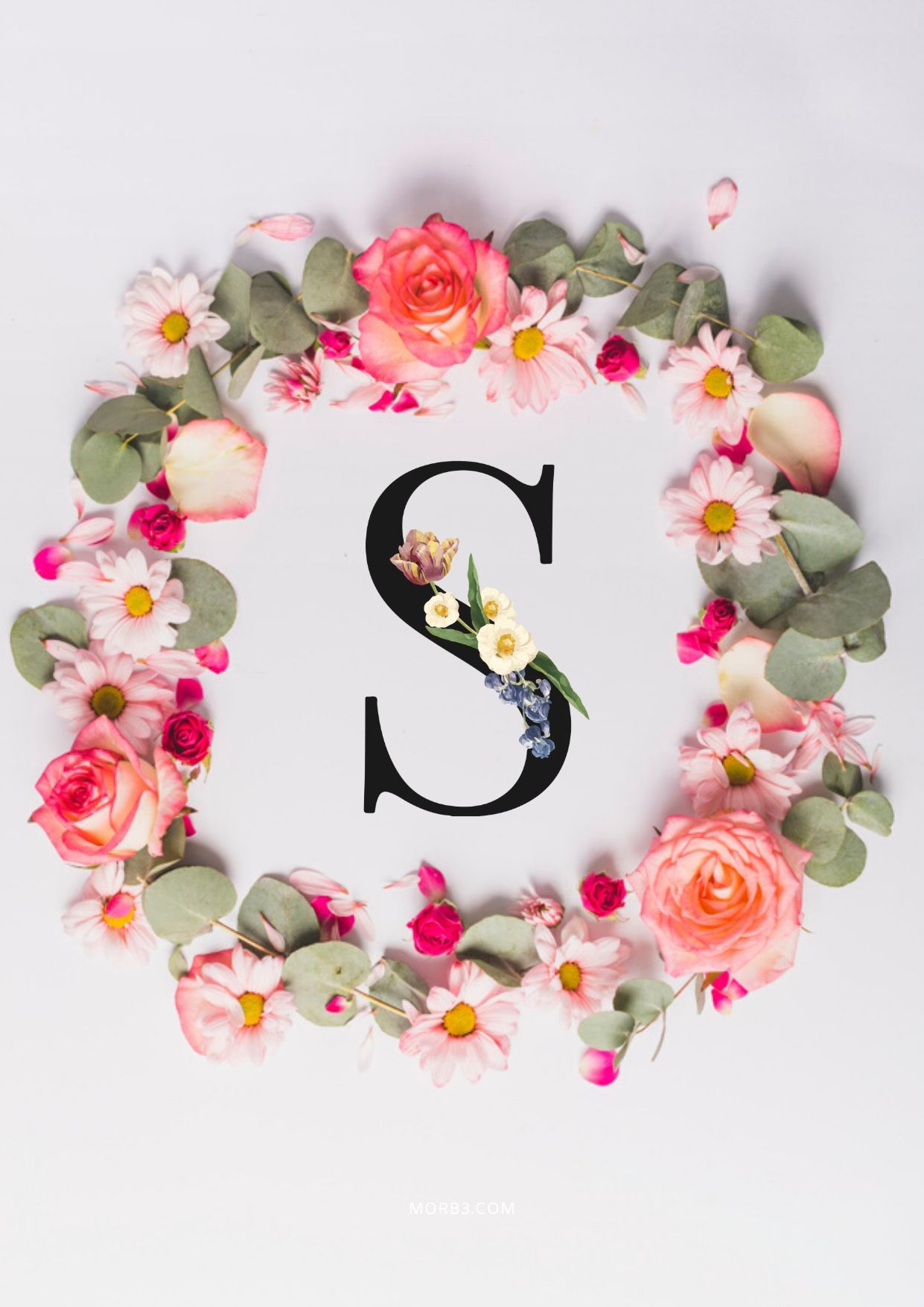 حرف S حوله حلقة من الورد