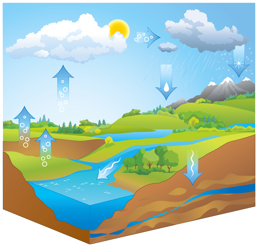 مراحل دورة المياه في الطبيعة