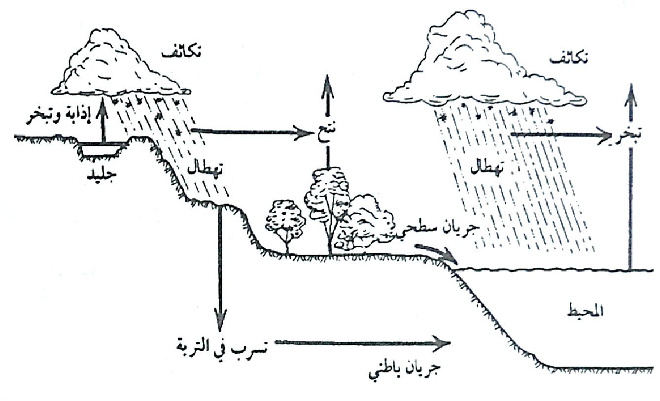 دورة المياه في الطبيعة للكبار