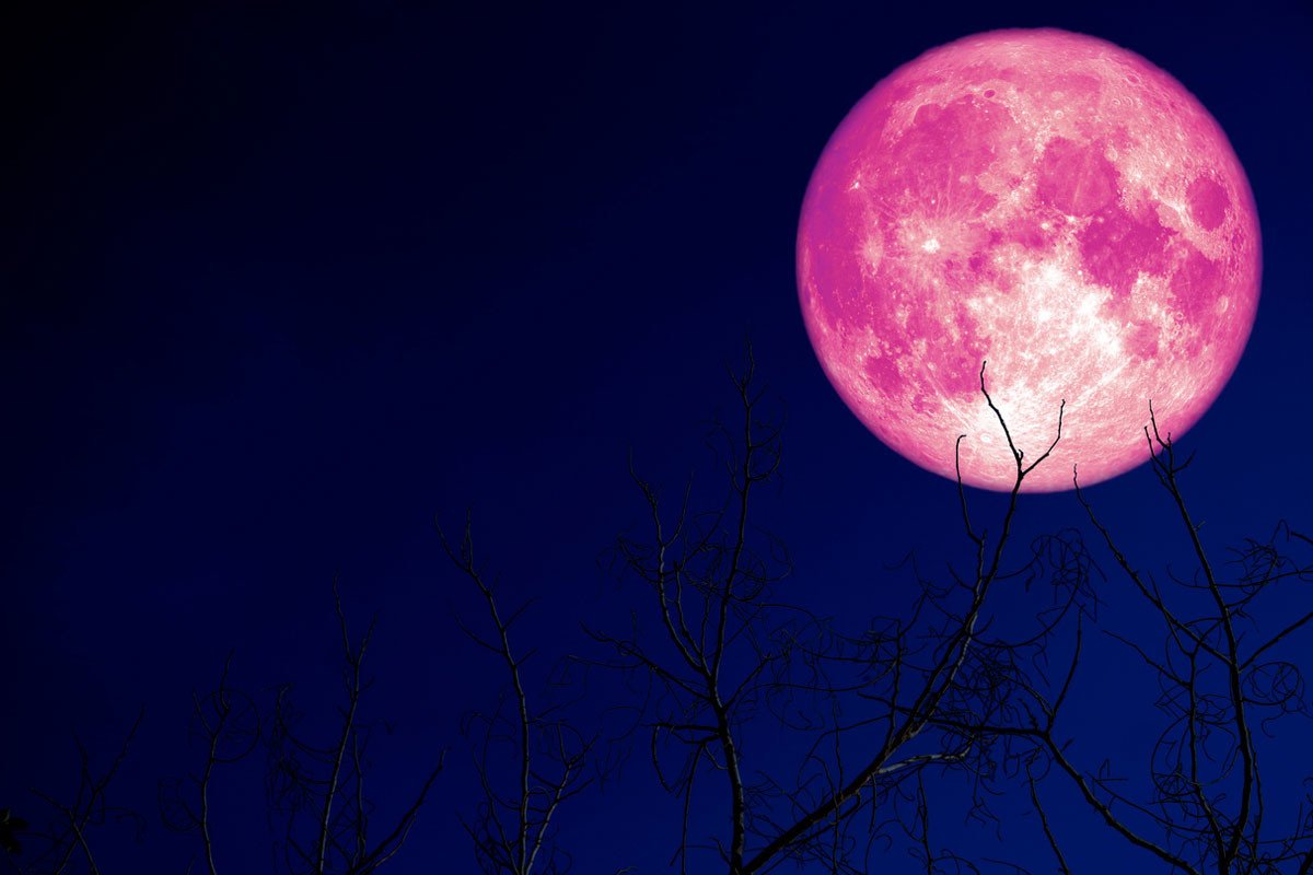 صورة لقمر وردي في السماء في الظلام الدامس