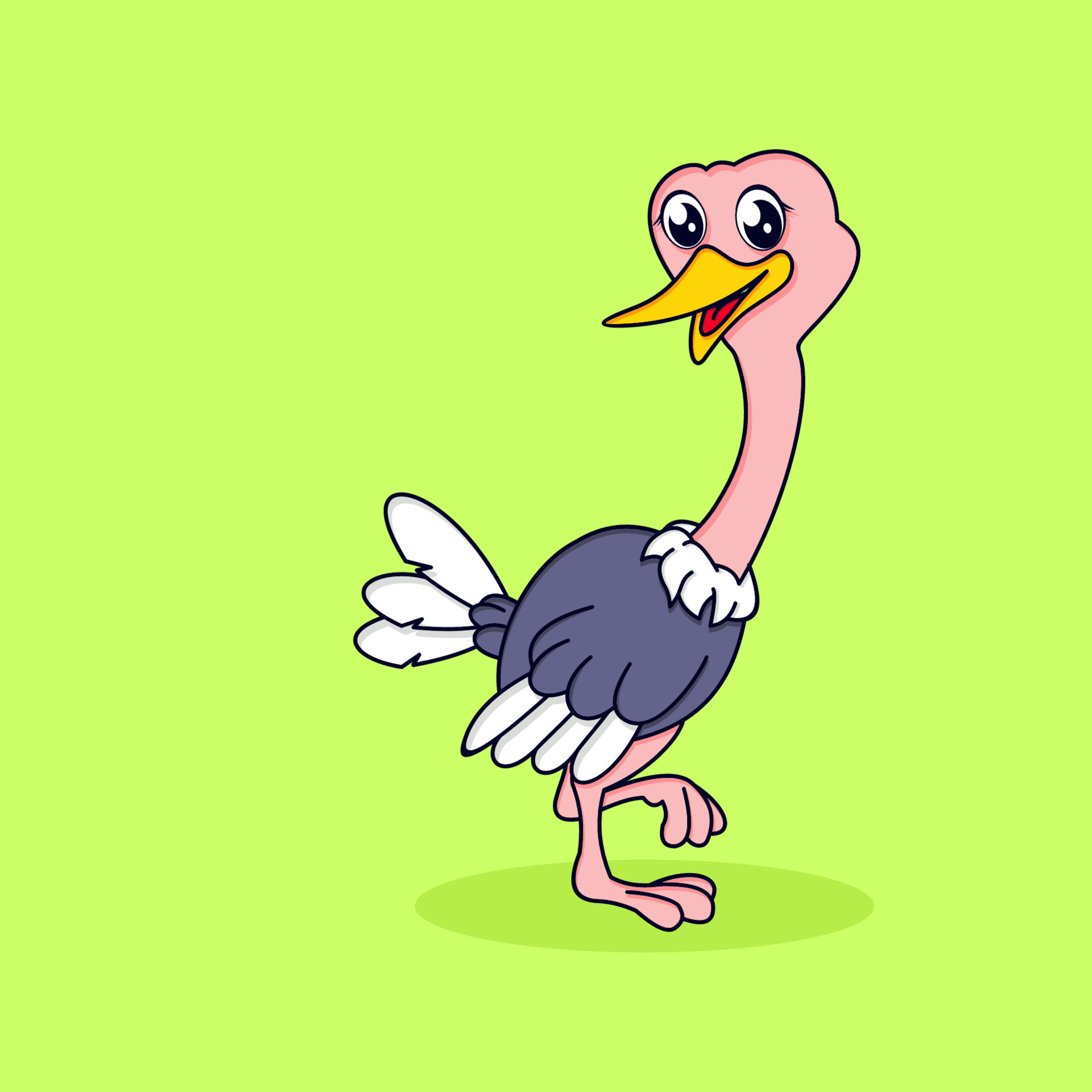 صور نعام أروع رسومات كرتون نعام للاطفال HD