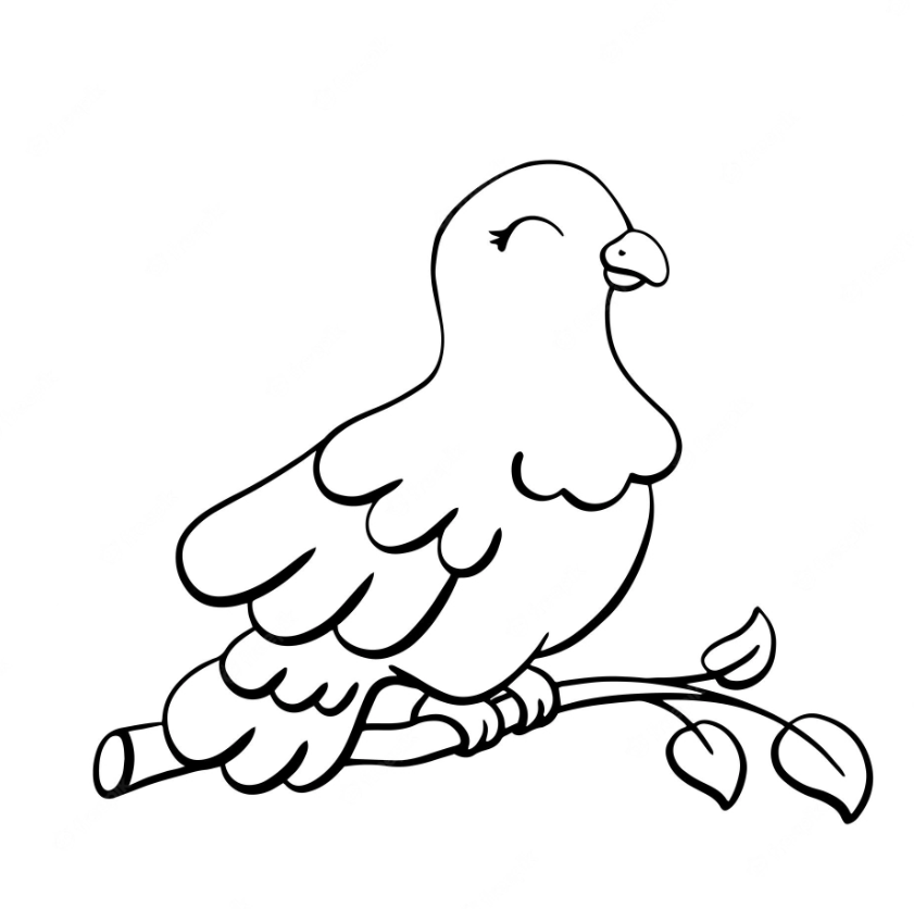رسمة جميلة لطائر اليمامة جاهزة للتلوين
