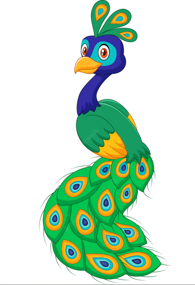 رسمة طاووس بذيل أخضر جميلة