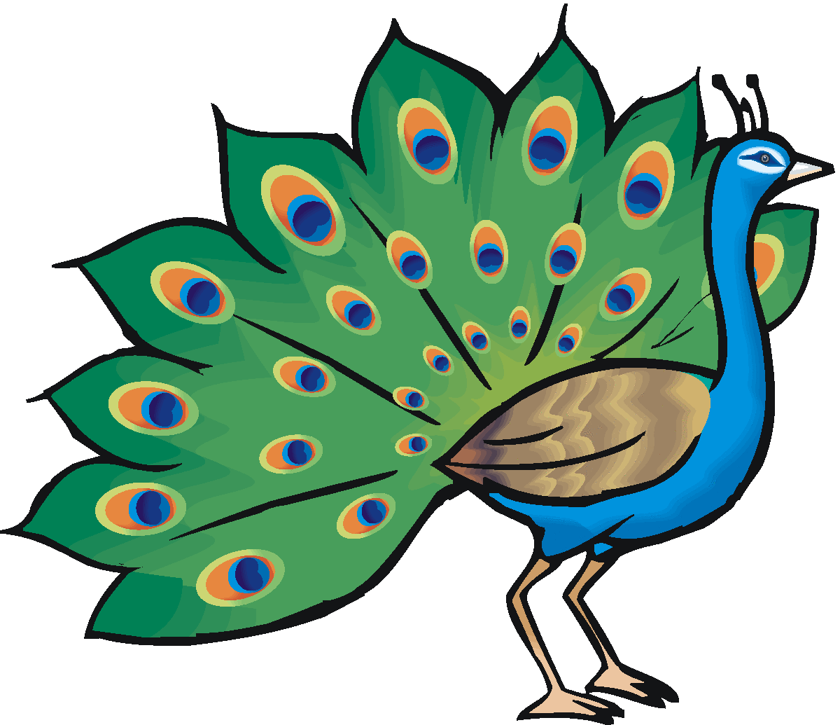 طاووس ملون للأطفال مع خلفية بيضاء