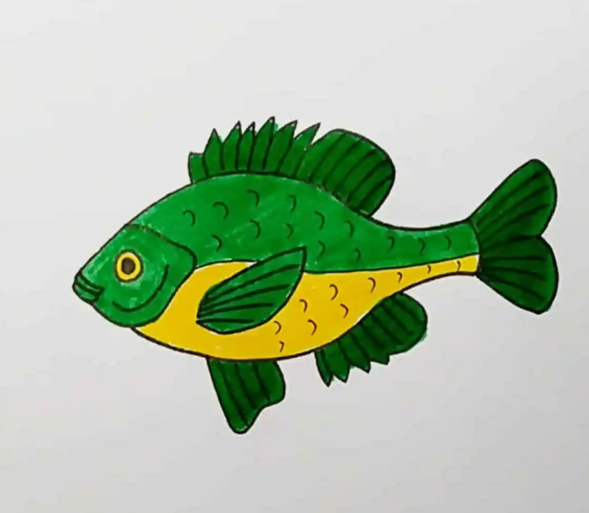 رسمة سمكة ملونة بالأخضر سهلة للأطفال