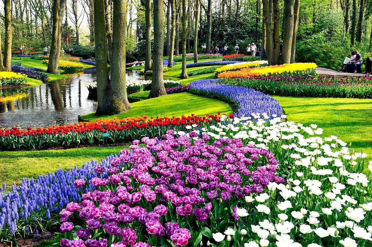 صورة حديقة عامة مليئة بالأزهار الملونة